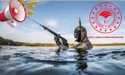 Amatör balıkçılar için sualtı avcılığında yeni zorunluluk