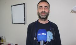 Bağırsak enfeksiyonlarında viral etkenler