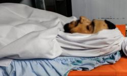 Batı Şeria'da işgal saldırıları: Biri çocuk iki Filistinli şehit, 10 yaralı