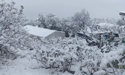 Batman'da kar nedeniyle üç ilçede eğitime ara verildi