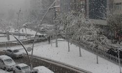 Batman'da yoğun kar yağışı bekleniyor