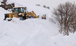 Bingöl-Erzurum kara yolu tır trafiğine kapatıldı