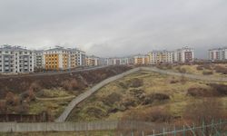 Bingöl'de dere ıslah projesi için mahalle muhtarından yetkililere çağrı