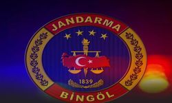 Bingöl’de jandarmadan 1 haftada 29 olaya müdahale