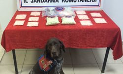 Bursa’da uyuşturucu operasyonları: Uyuşturucu ve üretim malzemeleri ele geçirildi