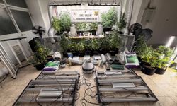 Bursa’da uyuşturucu operasyonu: 1 gözaltı