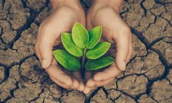 Çevre koruma harcamaları 441 milyar TL’yi aştı