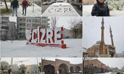 Cizre'de kar yağışı sevinçle karşılandı