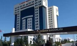 Denetimlerde 2 milyar 654 milyon lira ceza kesildi