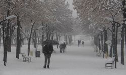 Diyarbakır genelinde eğitime yarın ara verilecek