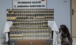 Diyarbakır’da kaçakçılık operasyonları: Çok sayıda kaçak ürün ele geçirildi