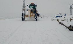 Güneydoğu Bölgesi’nde kuvvetli ve yer yer yoğun kar bekleniyor