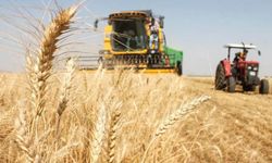 Güneydoğu'da hububat sektörü ihracatı 3,2 milyar dolar olarak gerçekleşti