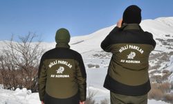 Hakkâri’de yasa dışı avcılığa 956 bin TL para cezası