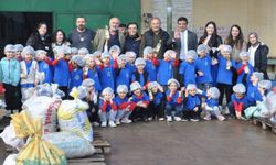 Manisa'da ana sınıfı öğrencileri, okul bahçesinde zeytin toplayıp yağa dönüştürdü