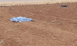 Mardin’de motosiklet kazası: Sürücü hayatını kaybetti 