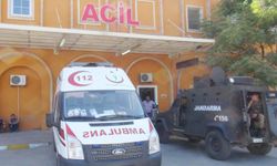 Mardin’de tır'ın çarptığı yaşlı kadın hayatını kaybetti 