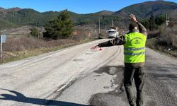 OGM’den kaçak kesimlere karşı 7/24 koruma