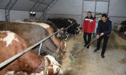 Ordu’da 164 yatırımcıya kırsal kalkınma desteği