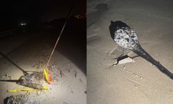 Ordu’da kum şırlanı avcılığı yapanlara ceza uygulandı