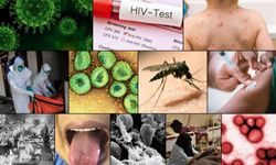 Salgın bitti sanıyoruz ama risk bitmedi