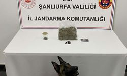 Şanlıurfa’da narkotik operasyonu