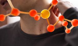 Sedef hastalığı tedavisinde yeni bulgu: Bağışıklık hücrelerinin hareketi