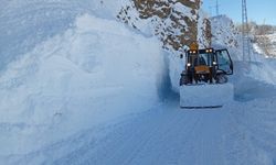 Siirt’te karla mücadele çalışmaları sürüyor