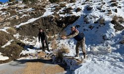  Siirt’te zorlu kış şartlarında yaban hayvanları için doğaya yem bırakıldı