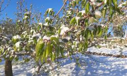 Sinop Valiliği'nden kar ve zirai don uyarısı