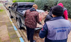 Sinop’ta kaçak avlanan 625 kalkan balığına el konuldu