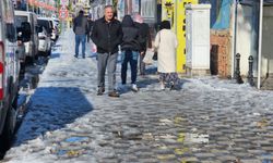 Şırnak Cizre’de kar yağışının yerini güneş aldı