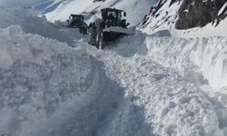 Şırnak'ta kar yağışı nedeniyle 12 köy yolu ulaşıma kapandı