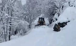 Şırnak’ta okullara kar tatili