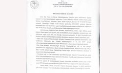 Şırnak'ta pizza yedikten sonra ölüm iddiası: İş yerinin gıda maddeleri temiz çıktı