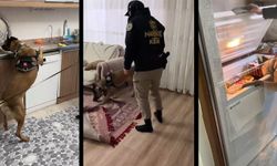 Şırnak’ta uyuşturucu satıcılarına şafak operasyonu: 20 gözaltı