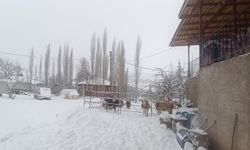 Tufanbeyli’de kar yağışı hayvancılığı etkiledi