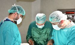 Türkiye'de bir ilk: Kalbin içini kaplayan dev kitle başarıyla çıkarıldı