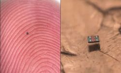 Tuz tanesi kadar robot: Algılıyor, düşünüyor, hareket ediyor