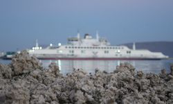 Van Gölü’nde sular çekildi, mikrobiyolitler ortaya çıktı
