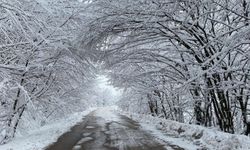 Yağış geliyor, sıcaklıklar ülke genelinde hissedilir derecede azalacak