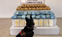 63 ilde narkotik operasyonu: Bir tonu aşkın uyuşturucu ele geçirildi
