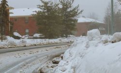 ABD'yi etkisi altına alan büyük kış fırtınasında onlarca kişi hayatını kaybetti