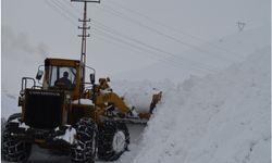 AFAD 28 il için çığ tehlikesi uyarısında bulundu