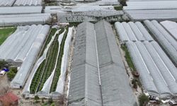 Antalya’da sel ve hortumdan etkilenen üreticiler için hasar tespiti sürüyor