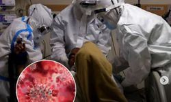 Asya'da Nipah virüsü alarmı