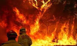 Avustralya'da orman yangınları kontrol altına alınamıyor