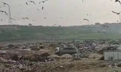 Bakanlıktan Bursa Büyükşehir Belediyesi’ne 2 milyon TL civarında vahşi depolama cezası