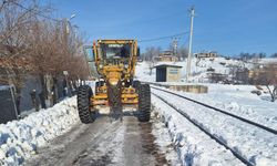 Batman'da kapanan köy yolları yeniden ulaşıma açıldı
