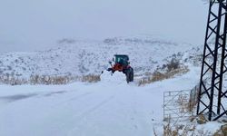 Batman'da kar nedeniyle kapanan köy yolu ulaşıma açıldı